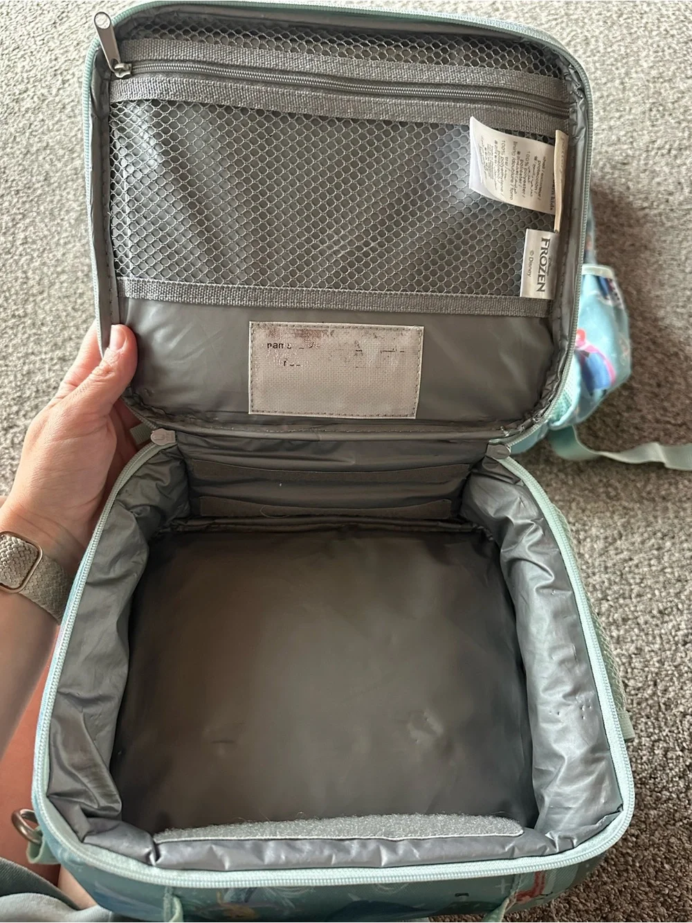 Pottery Barn Kids Frozen Character Backpack and Lunchbox